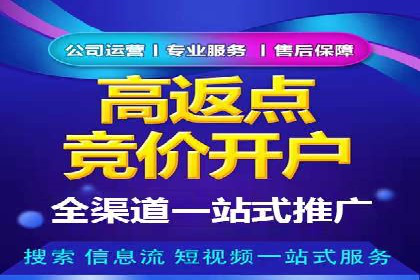 竞价推广的预算分配与优化：案例解读